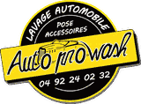 Auto Pro Wash